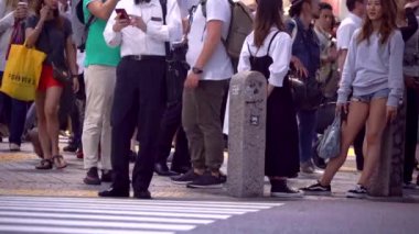 Shibuya, Tokyo, Japonya içinde ünlü kavşak kişi arası