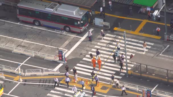 Aerial view of a bus terminal in Shibuya, Japan — Stock Video