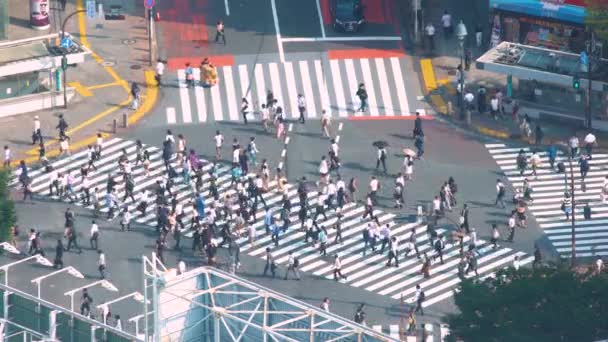 La gente cruza la famosa intersección en Shibuya, Tokio, Japón — Vídeos de Stock