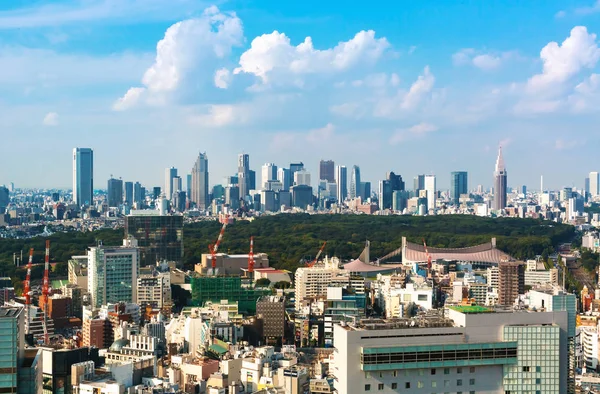 Pohled na panorama Shinjuku, Tokio, Japonsko — Stock fotografie