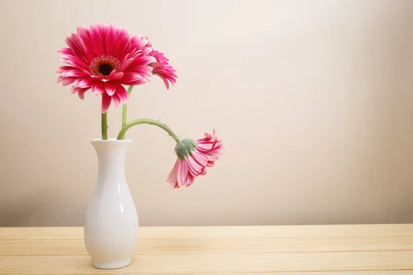 Gerbera fleurs dans un vase blanc — Photo