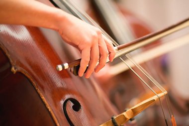 Viyolonsel çalar bir orkestrada gerçekleştirme