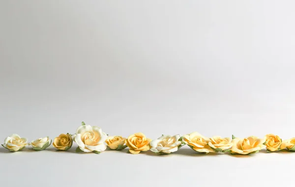 Σειρά από κεφάλια κίτρινο άνθος λουλουδιών — Φωτογραφία Αρχείου