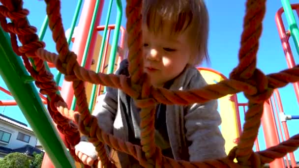 Peuter jongen spelen op de speelplaats — Stockvideo