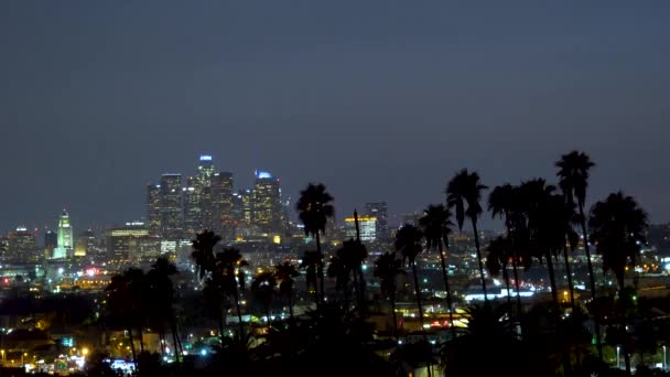 Sentrum av Los Angeles om natten med palmer – stockvideo