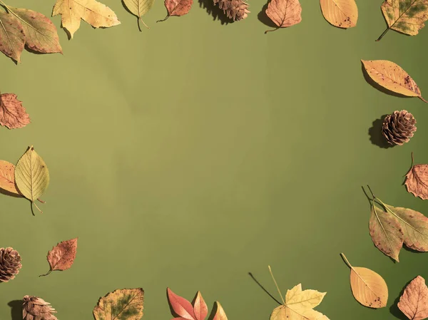 Quadro da borda da folha do outono — Fotografia de Stock
