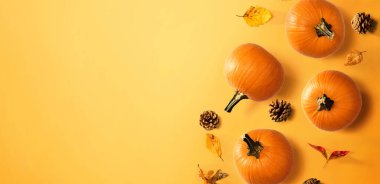 Yapraklı sonbahar balkabakları