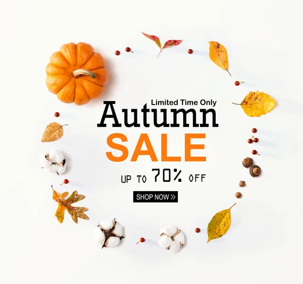 Bannière de vente d'automne avec feuilles d'automne et citrouille orange — Photo