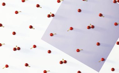 Küçük kırmızı çilek koleksiyonu