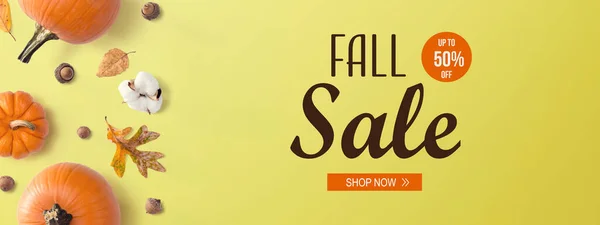 Fall sale banner with autumn pumpkins — Stock Photo, Image