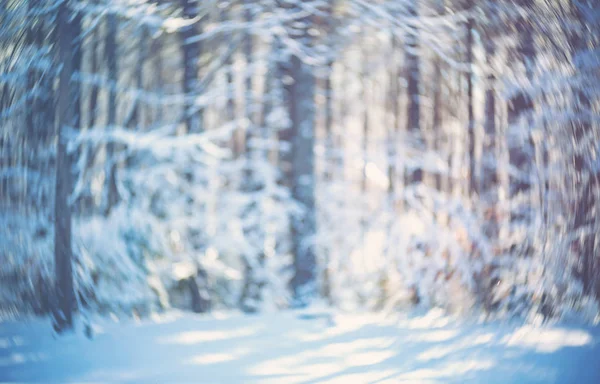 Bosque de invierno abstracto borroso fondo —  Fotos de Stock