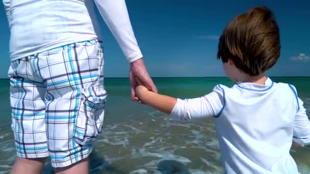 Småbarn håller händerna med sin far vid havet — Stockvideo