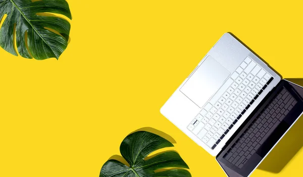 Laptop computer with tropical plants