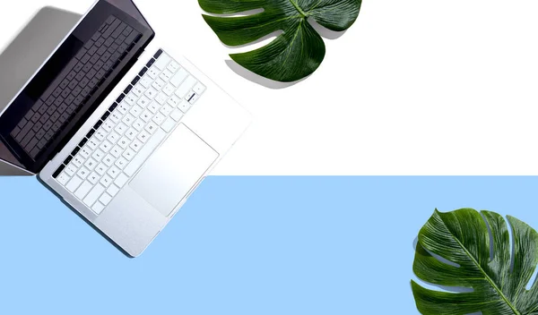Laptop computer with tropical plants — 스톡 사진
