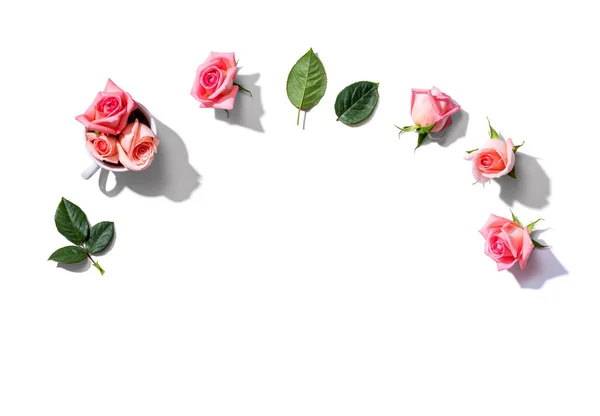 Rosa rosor med gröna blad — Stockfoto