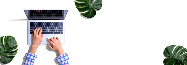 使用装有热带树叶的笔记本电脑的人 — 图库照片