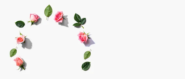 Розовые розы с зелеными листьями вид сверху — стоковое фото