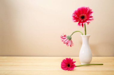 Beyaz vazoda Gerbera çiçekleri