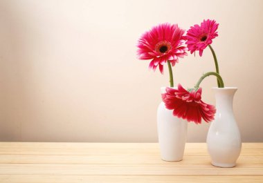 Beyaz vazoda Gerbera çiçekleri