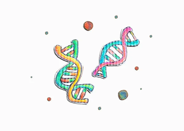 DNA Sequencing theme with cardboard craft drawings — Stock Photo, Image