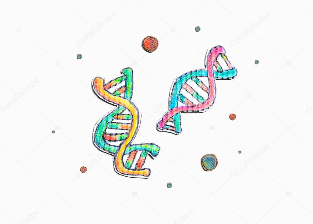 DNA Sequencing theme with cardboard craft drawings