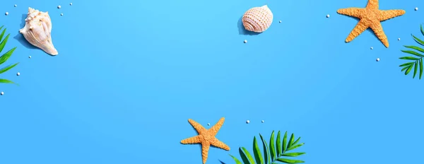 Concepto de verano con estrellas de mar y conchas marinas —  Fotos de Stock