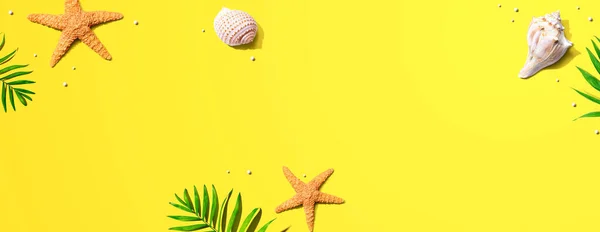 Concepto de verano con estrellas de mar y conchas marinas —  Fotos de Stock