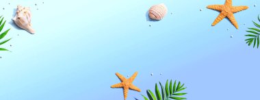 Deniz yıldızları ve deniz kabukları ile yaz konsepti