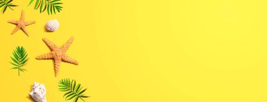 Deniz yıldızları ve deniz kabukları ile yaz konsepti
