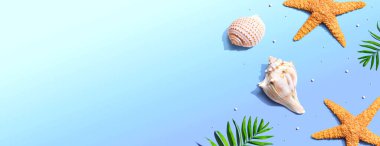 Deniz yıldızları ve deniz kabukları ile yaz konsepti