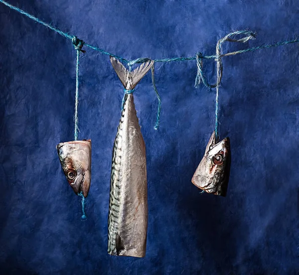 Mackerel with two cut heads hanging on rope