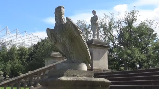Eine Statue des Adlers — Stockvideo