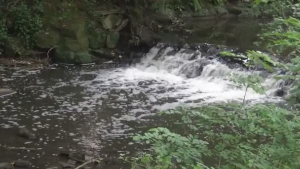Ett litet vattenfall på floden — Stockvideo