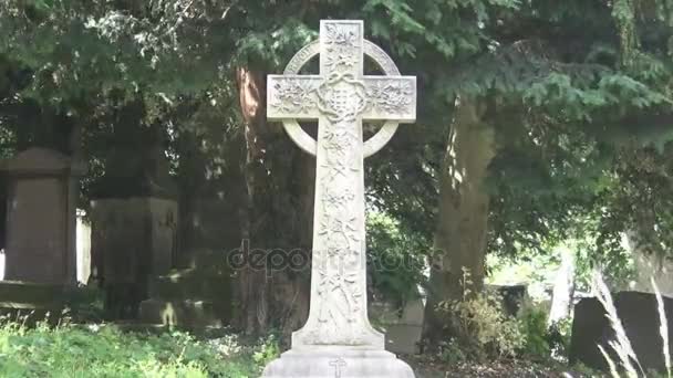 Croce Celtic Una Croce Celtica Cimitero Circondato Erba Diversi Tipi — Video Stock