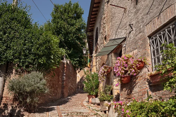 Montefalco, Perugia, Umbría, Italia: antiguo callejón con flores y plantas — Foto de Stock