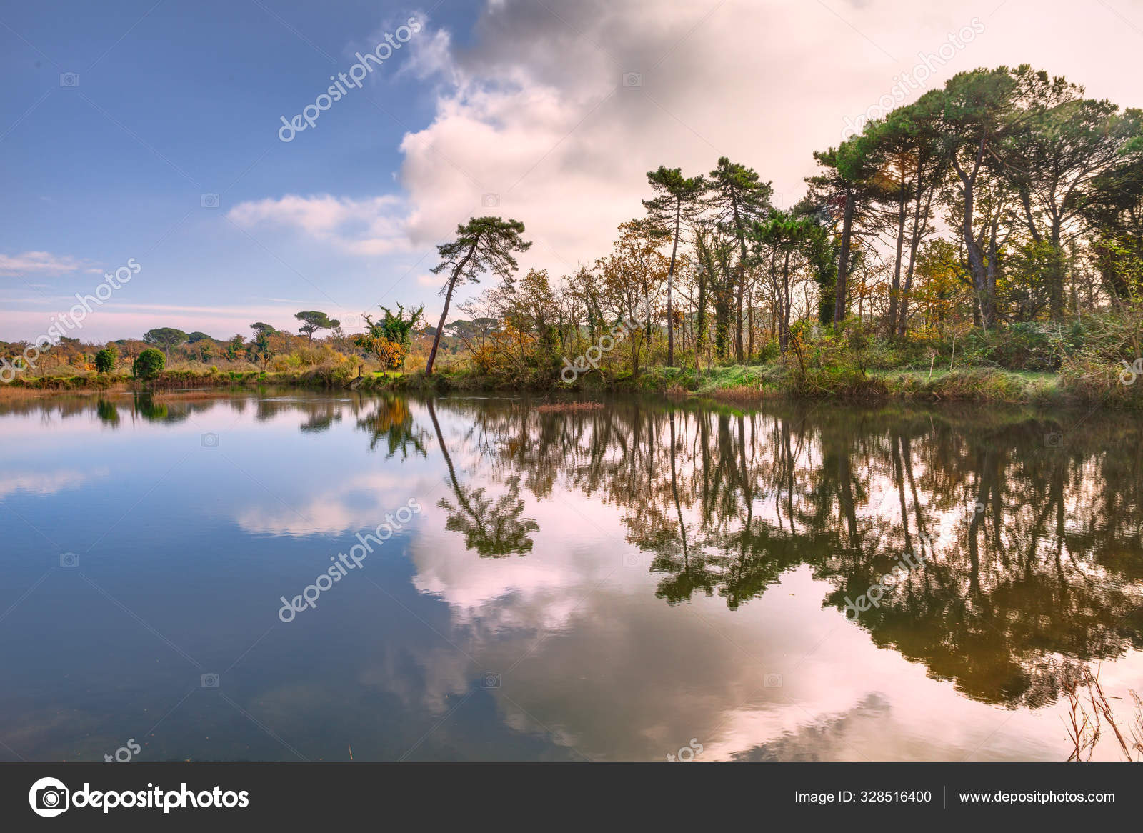 Emilia Romagna, Italy: landscape of the wetland in Po park Stock Photo by ©ermess 328516400