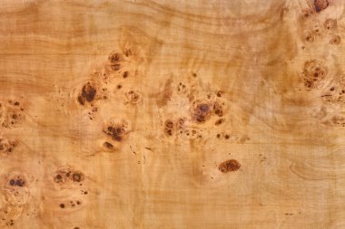 kavak burl tahtası