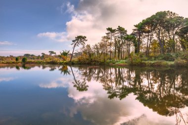 Ravenna, Emilia Romagna, İtalya: Po delta parkındaki sulak arazinin manzarası