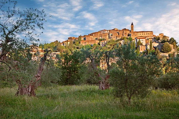 Seggiano, grosseto, toskana, italien: die antike hügelstadt und der olivenhain — Stockfoto