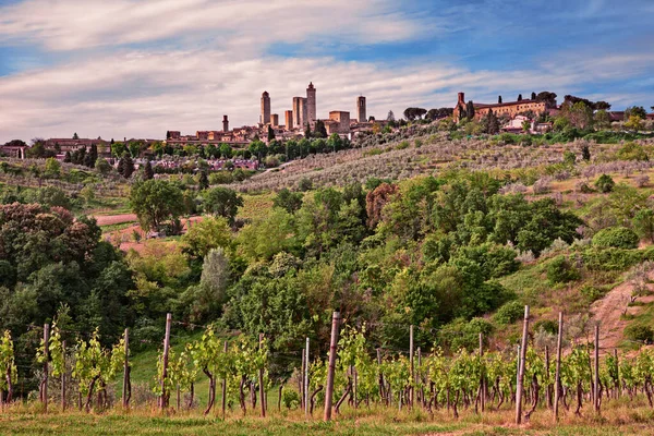 San Gimignano, Toskania, Włochy: krajobraz górskiego miasta i wsi z winnicą — Zdjęcie stockowe