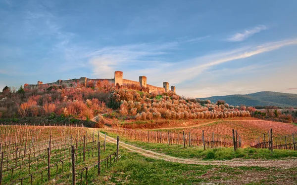 Monteriggioni, Siena, Toskania, Włochy: krajobraz starożytnej wioski wzdłuż Via Francigena — Zdjęcie stockowe