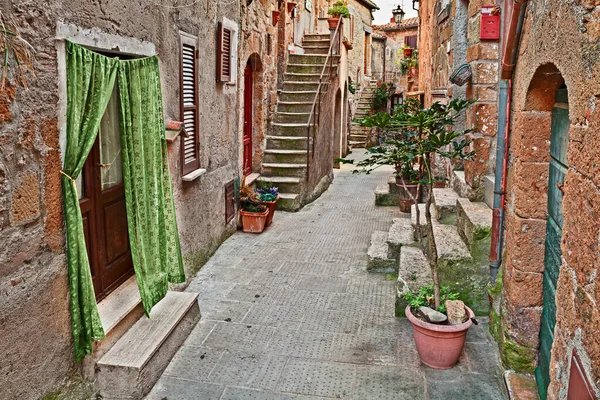 Pitigliano Grosseto Toscana Italia Antiguo Callejón Con Casas Plantas Antiguas — Foto de Stock