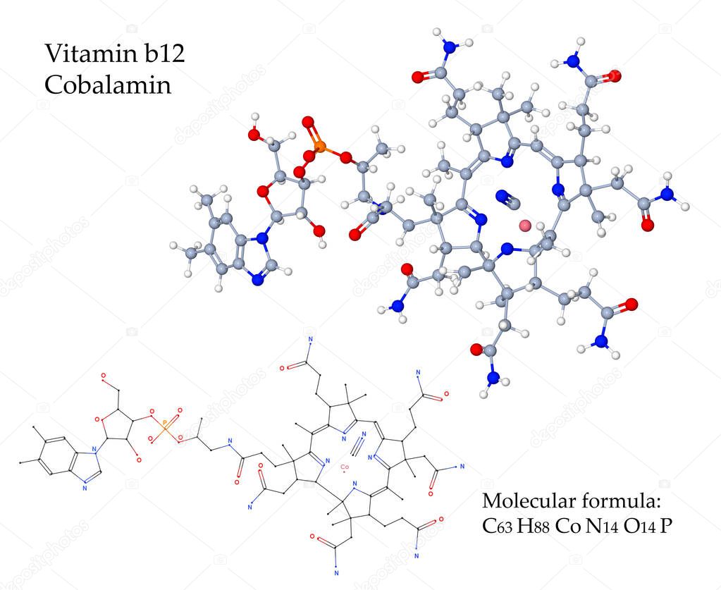 Vitamin B12 Cobalamin is essential for the synthesis of red blood cells by the bone marrow. Food sources are animal products such as meat, milk, eggs, and fish; supplements are recommended for vegan people