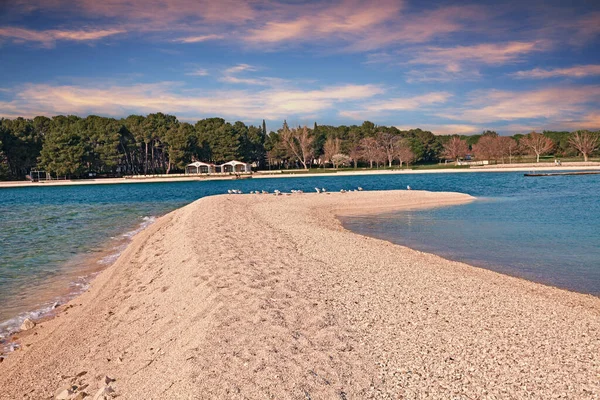 Fazana Istrien Kroatien Landschaft Bei Sonnenuntergang Der Bucht Und Strand — Stockfoto