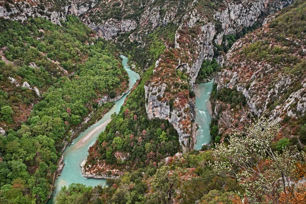 Verdon Gorge Provence Alpes Cote Azur França Meandro Rio Fronteira — Fotografia de Stock