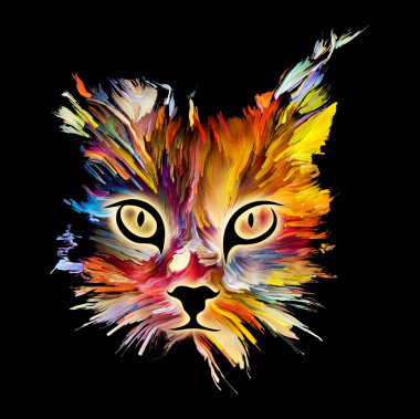 Renkli Kitty