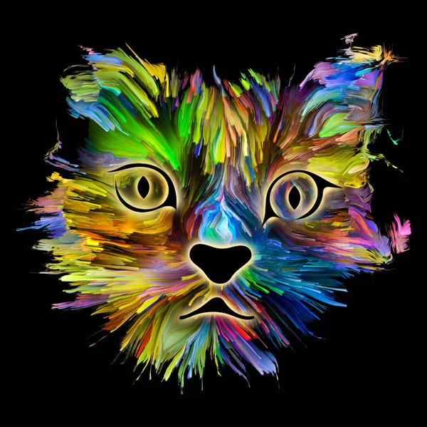 Katt färg — Stockfoto