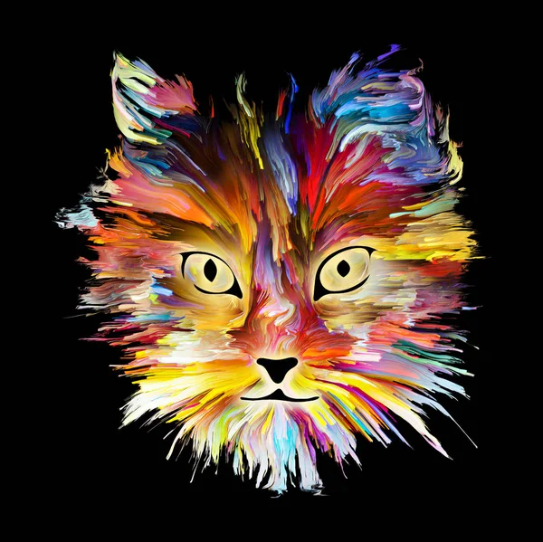 Renkli Kitty — Stok fotoğraf
