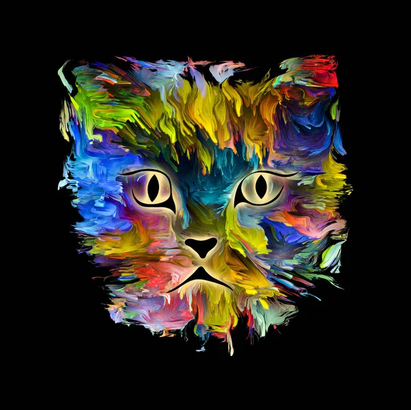 Katzenfarbe — Stockfoto