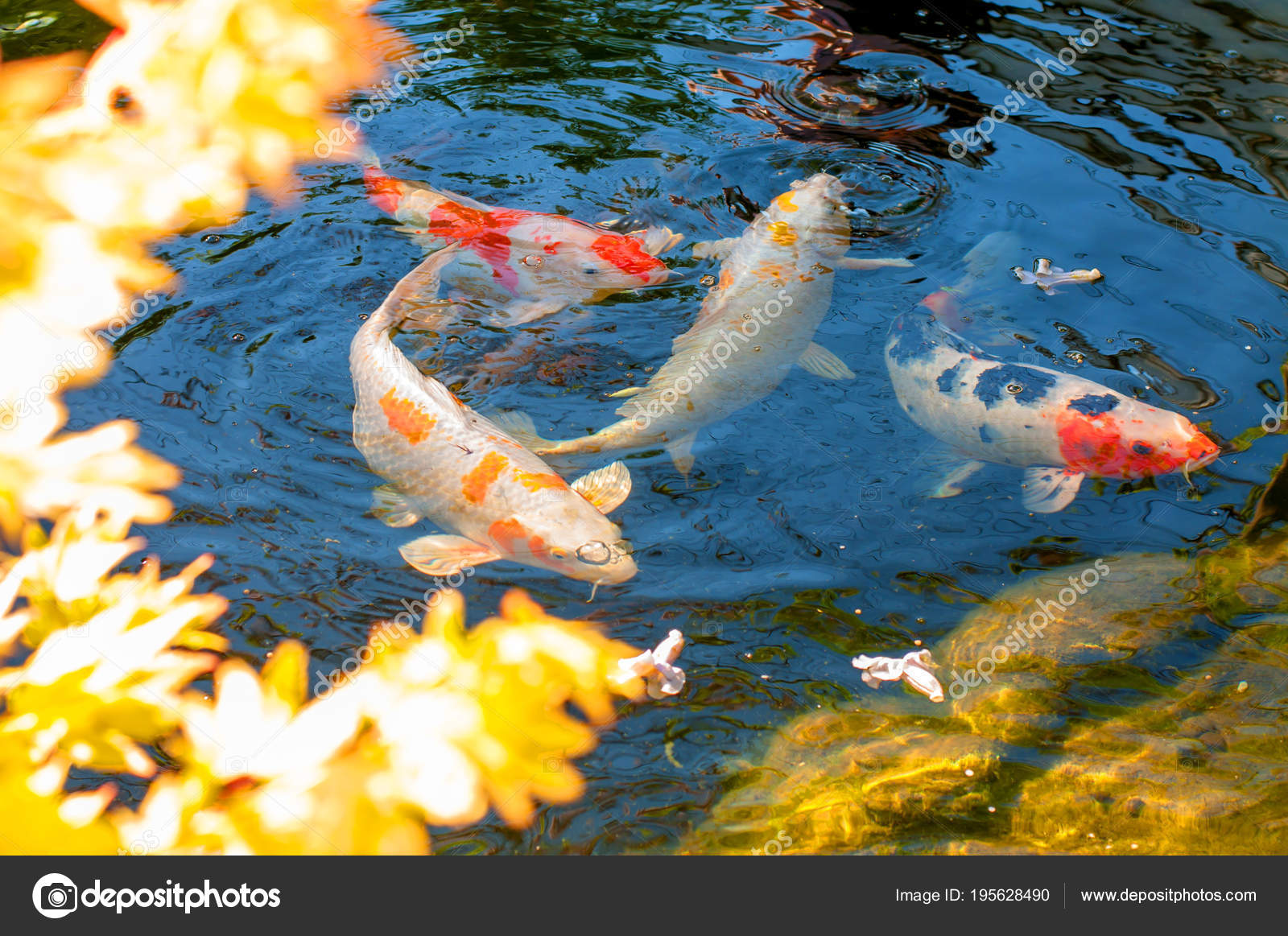 Colorful Decorative Fish Float Artificial Pond View — Stock Photo